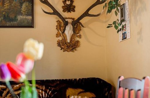 Solina Ski Chalet | Domek Bogdanka