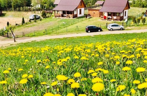 gmina Stezyca House | Domek Eden 7 Kaszuby balia sauna alpaki