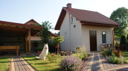 Krasnobrod House | Domek pod różą