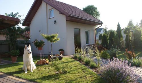 Krasnobrod House | Domek pod różą