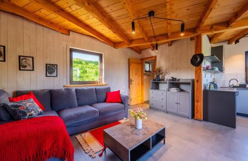 Lutowiska Apartment | Domek Trohaniec