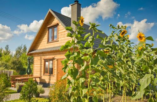 Swieta Katarzyna Ski Chalet | Domek Twórczy Kąt