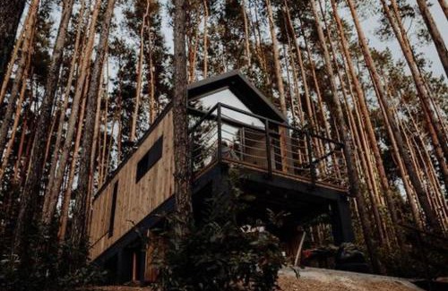 Daleszyce House | Domek w Koronach Drzew