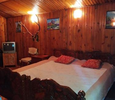 Kamenets-Podol'skiy Apartment | Domik s saunoy na Ogiyenko