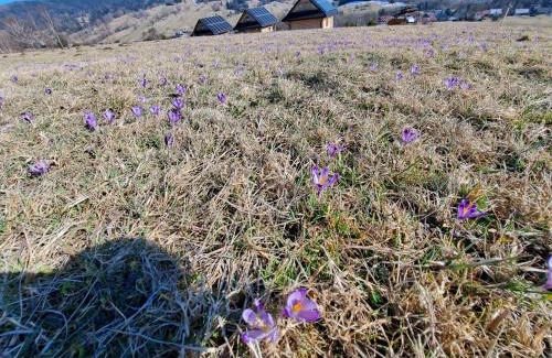 Nowy Targ Ski Chalet | Domki Gorce Klikuszowa Sauna Jacuzzi