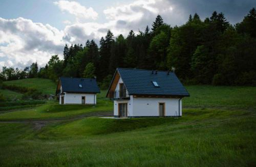 Kroscienko nad Dunajcem House | Domki na Jędrzejówkach - Janosik