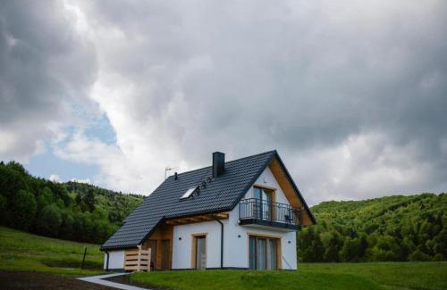 Kroscienko nad Dunajcem House | Domki na Jędrzejówkach - Janosik
