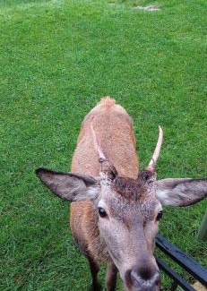 Szklarska Poreba Ski Chalet | Domki Na Skale z widokiem na panoramę Karkonoszy