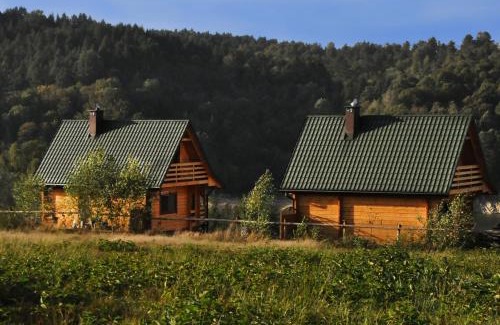 Olchowiec Cabin | Domki nad Soliną