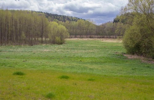 Trabki Wielkie Cabin | Domki Przystanek Drzewina