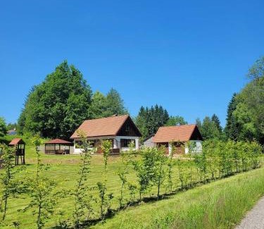 Mricna Apartment | Domov na horách - Krkonoše - horký sud, pergola, dětské hřiště - celý dům