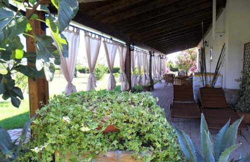 Ripa Teatina House | Domus Aurea