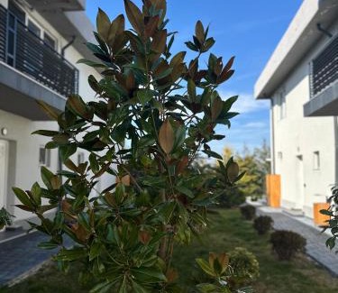 2 Mai Apartment | Donilads Properties - Home Everywhere, Relax & Nature Escape