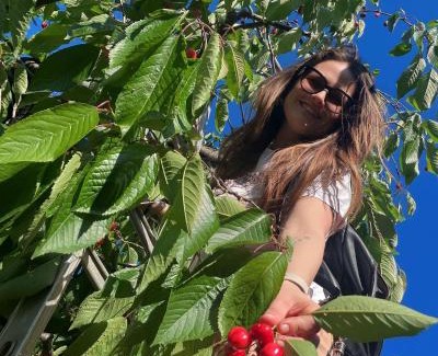 Vico del Gargano Bed & Breakfast | Donna Elena