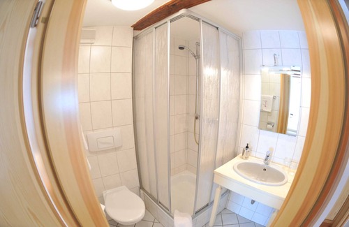 Rosenbach/Vogtl. House | Doppelzimmer - Braunes Zimmer - Gasthof Teichmühle