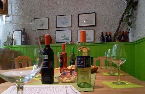 Illmitz Apartment | Doppelzimmer mit Dusche, WC - Weingut-gästehaus Palkowitsch
