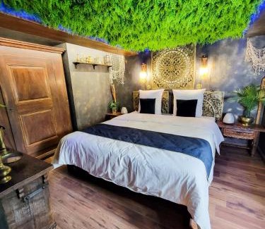 Sainte-Croix-en-Plaine Apartment | Dormir Chez les Pirates charme & confort à 10 min de Colmar