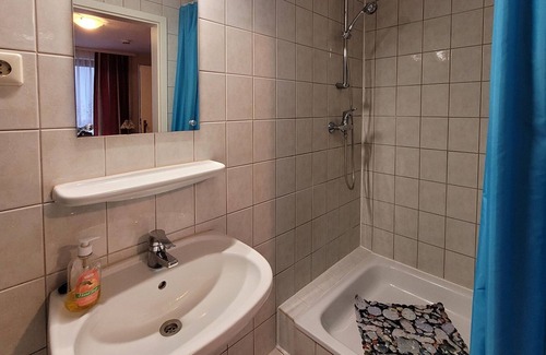 Franken Siedlung Apartment | Double room - Lange room rental