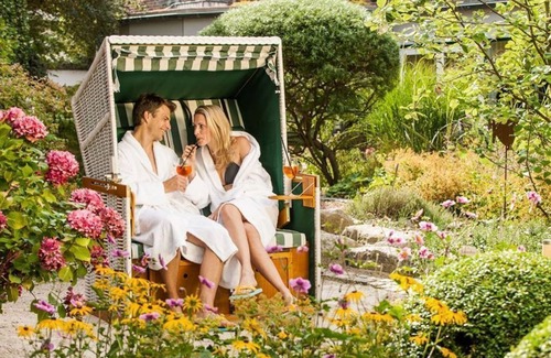 Hasseldieksdamm House | Double room, shower, toilet, standard - Hotel Birke