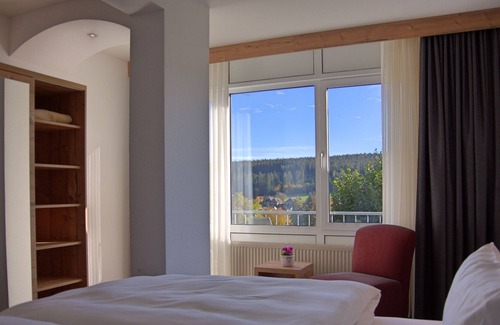 Sankt Georgen im Schwarzwald Apartment | Double room with shower/toilet and balcony