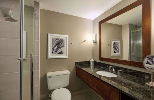 South Loop Hotel | DoubleTree by Hilton Minneapolis Airport, MN