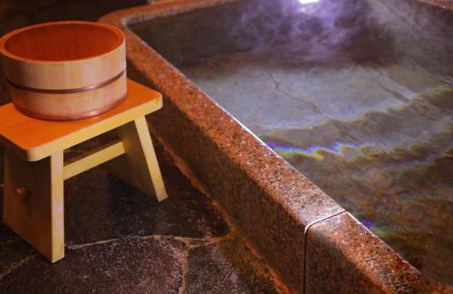 Dogo Hot Spring Hotel | Dougoya