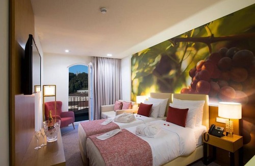 Lamego Hotel | Douro Castelo Signature