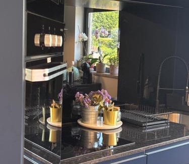 Bitetos House | dourobluehouse