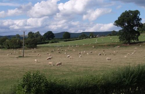 Denstone Bed & Breakfast | Dove Meadow