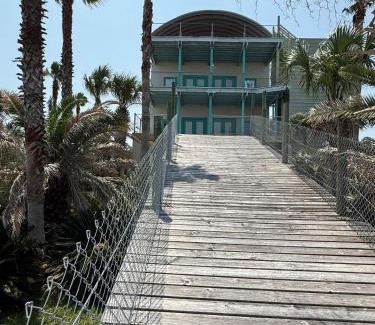 Theodore House | Down on the BAY