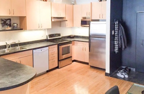 Downtown Winnipeg Condo | Downtown 2 floor penthouse with skylight