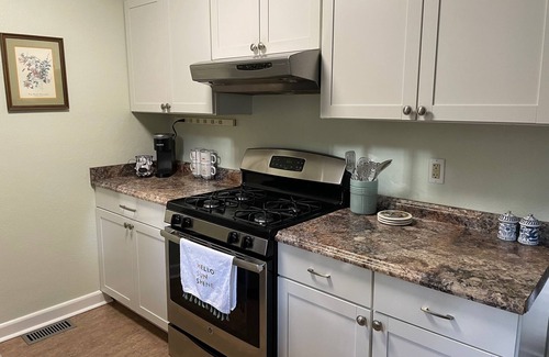 Brevard House | Downtown Brevard Hideaway Steps from Main St Restaurants-Dog Friendly, Fenced
