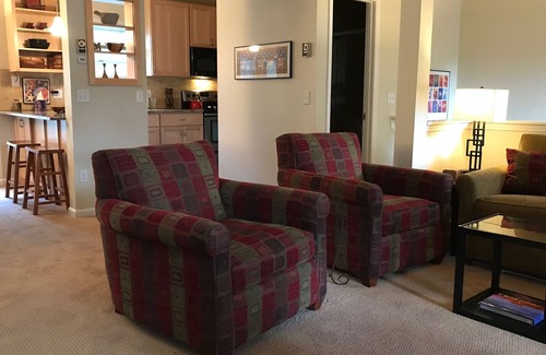 Crested Butte House | Downtown C B, Contemporary, Sunny 2BR, 2 BA, Stunning Views