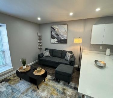 Peak's Suburban Addition Apartment | Downtown Dallas - Modern 1Bed 1Bath Escape