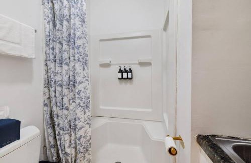 Squirrel Hill House | Downtown Escape: 3Br - Game/Movie room - Foosball