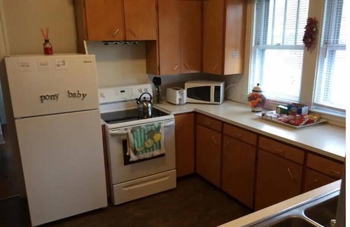 Vine Apartment | Downtown Kalamazoo Apartment Suite. Over 1,000 5-star reviews; Host since 2015