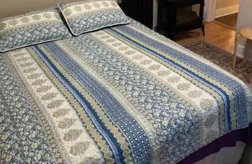 Vine Apartment | Downtown Kalamazoo Efficiency Apt. Over 1,000 5-star reviews. Host since 2015.