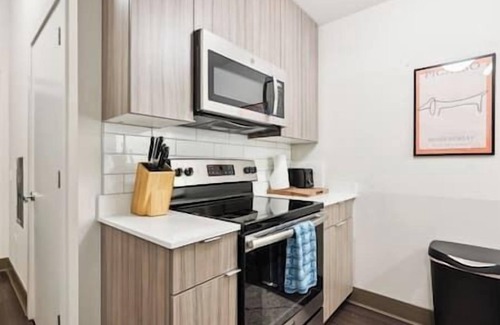 The Loop Condo | Downtown Mich Ave #7| Park View Penthouse +gym