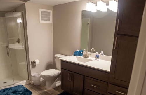 Downtown St. Paul Apartment | Downtown Saint Paul, 2 Bdrms, 2Baths at R7 Lofts