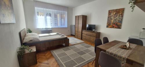 Pecs Apartment | Downtown Studio Apartman