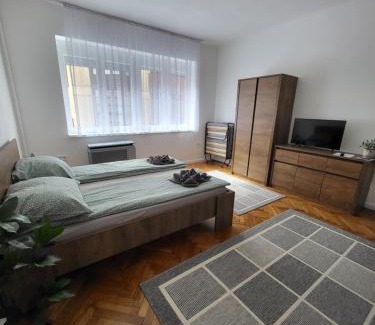 Pecs Apartment | Downtown Studio Apartman