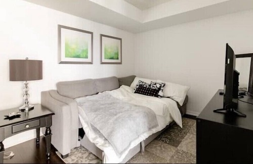 Fort York Apartment | Downtown Toronto+Free Parking+City view