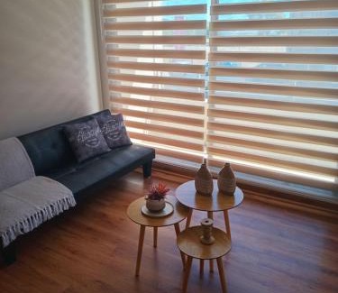 Concepcion Apartment | Dpto Nuevo, Full Equipado, 2D 1B, Céntrico, Mirador del Bio Bio, a minutos del Aeropuerto, Mall, Excelente Conectividad