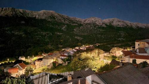 Draga Bascanska Apartment | Draga studio apartment pets welcome