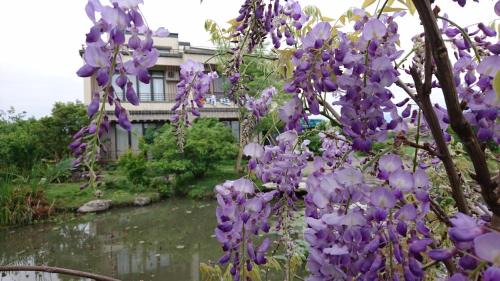 Sanxing House | Dragonfly B&B