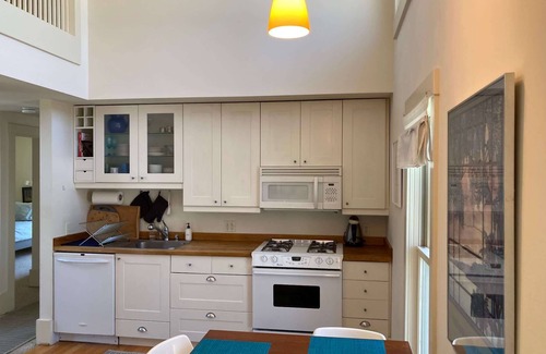 Ithaca Apartment | Dramatic Light-filled downtown Apartment!
