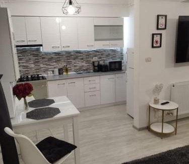 Bacau Apartment | Dream Arena Apartment