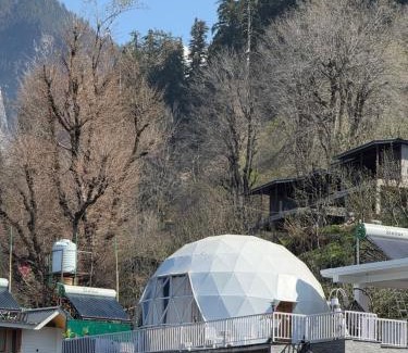 Manali Resort | Dream Hamta cafe & glamps