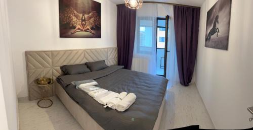 Sector 5 Apartment | Dream Studios 1