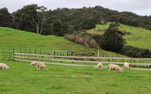 Northland House | Dream Weavers Farm Cabin